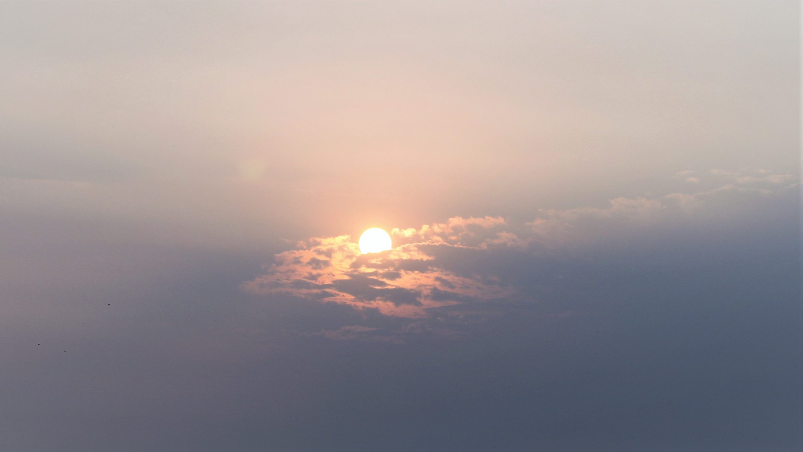 Sun for LT Website